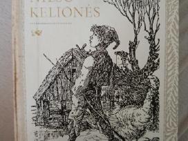 S. Lagerlef Stebuklingosios Nilso kelionės
