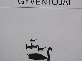 Žuvintas ir jo gyventojai