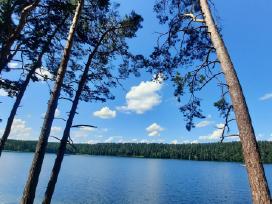 Privati stovyklavietė prie Baltųjų Lakajų - 5ha