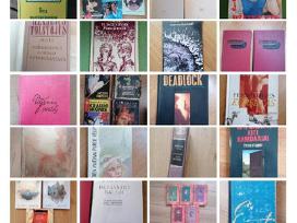 Daug knygu Hemingvėjus, Egziuperi ir kiti