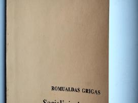 R. Grigas. Socialinių įtampų Lietuvoje laukai