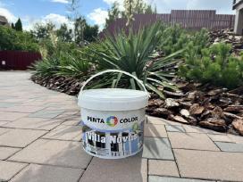 Penta color pilki dažai (10 litrų)