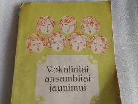 Vokaliniai ansambliai jaunimui
