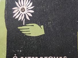 Motinos laukas