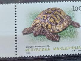 Makedonija 2012 vėžlys, švarus, Michel 621