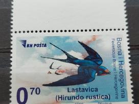 Bosnija ir Hercegovina 2009 kregžde, švarus, Miche