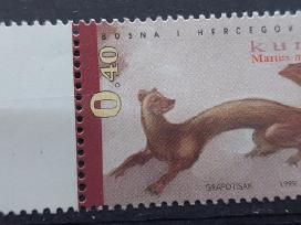 Bosnija ir Hercegovina 1999 kiaune , švarus, Miche