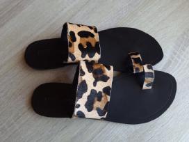 Asos ponio basutės