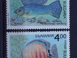 Bulgarija 1993 akvariumo žuvys, švarus, Michel 404