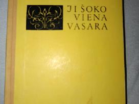 P.o.ekstremas Ji šoko vieną vasarą
