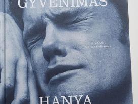 Knyga "Mažas gyvenimas"