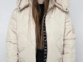 Bianco striukė