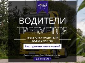 Tolimųjų reisų vairuotojas