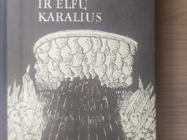 Švedų pasakos "Piemenukas ir elfų karalius"