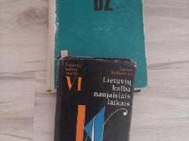 Dabartinės lietuvių k.žodynas ir Liet.k.istorija