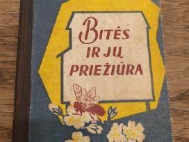 Knyga bitės ir jų priežiūra