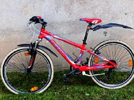Ferrini 24 ride kalnu dviratis