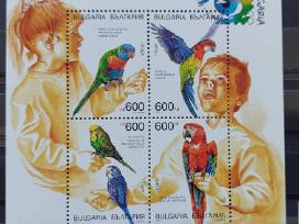 Bulgarija 1999 papūgos, švarus, Michel block237