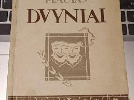 Plaustas Dvyniai