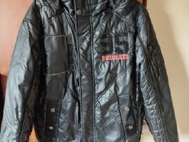 Dsquared2 pavasarinė