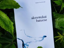 Poetinių miniatiūrų knyga „Akmenukai batuose“