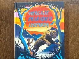 Mergaitė, praradusi leopardą - Nizrana Farook