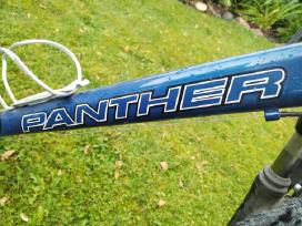 Panther Credo 28