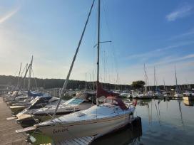 Albin Cirrus 78