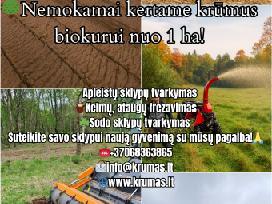 Apleistų sklypų tvarkymas ir kelmų frezavimas