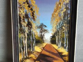 Paveikslas. 40 x 26. 10 e