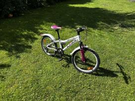 Dviratis 20'' Devine Alprace