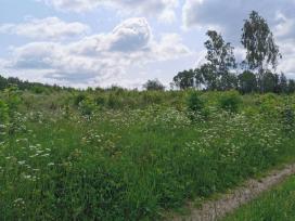3,9835 ha žemės ūkio paskirties sklypas Trakų raj.