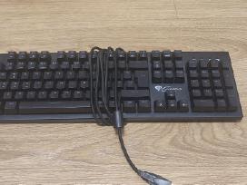 Rgb Mechaninė Klaviatūra Natec Genesis Thor 300