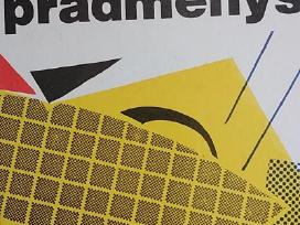 Audito pradmenys