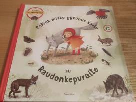 Knyga vaikams