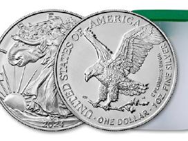 1 oz Silver Eagle, Amerikos sidabrinis erelis