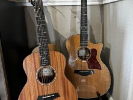 Ieškau Taylor gs mini gitaros