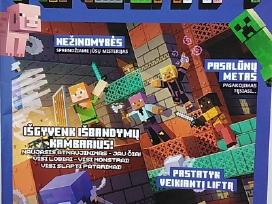 Minecraft 2025 Nr.2