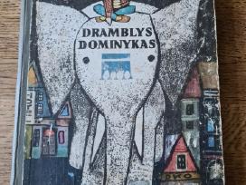 Dramblys Dominykas