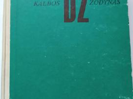 Dabartinės lietuvių kalbos žodynas (1993)