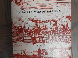 Vilniaus ,miesto istorija nuo seniausių laikų iki