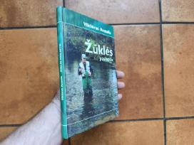 Žūklės dvąsingumas