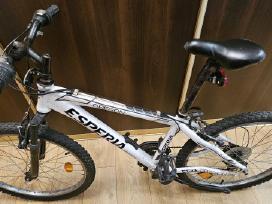 Dviratis Esperija Oregon MTB ratai 24''