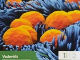Vadovėlis Biologija 9 klasė 1 dalis Horizontai