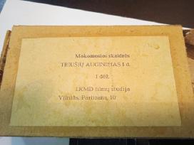 Skaidrės "Triušių auginimas"