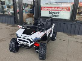 Naujiena Kck buggy 4x75w 24v 50kg