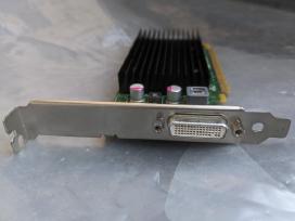 Nvidia Nvs 300