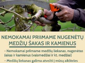 Priimsime šakas, kirtimo liekanas, medieną