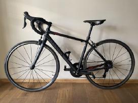 Canyon Endurace AL