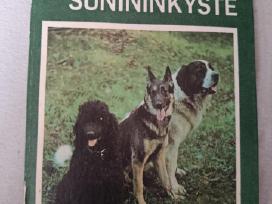 K. Masilionis Šunininkyste